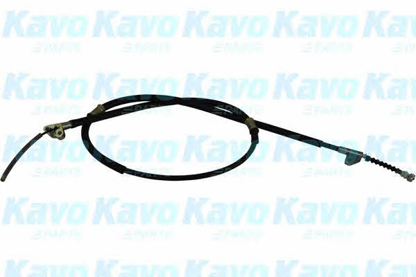 Buy Kavo parts BHC-9113 at a low price in United Arab Emirates!