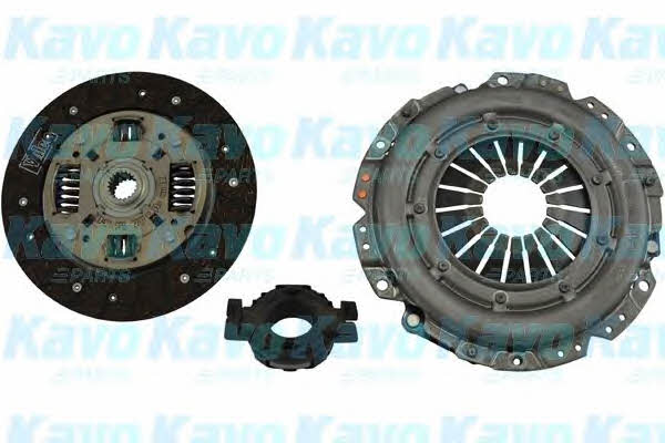 Buy Kavo parts CP-9029 at a low price in United Arab Emirates!