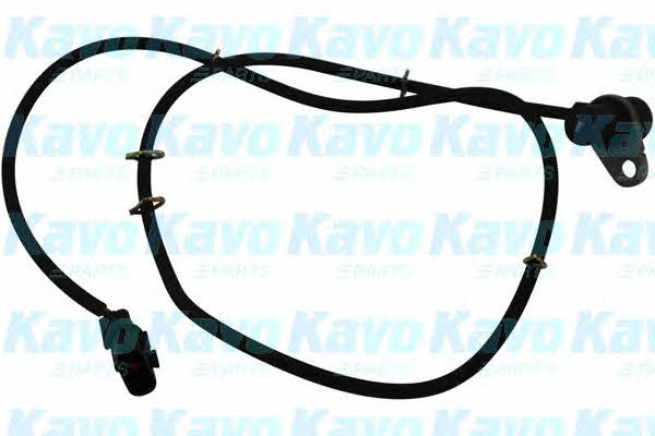 Buy Kavo parts BAS-5508 at a low price in United Arab Emirates!