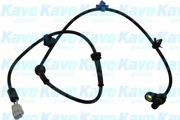 Buy Kavo parts BAS-8503 at a low price in United Arab Emirates!