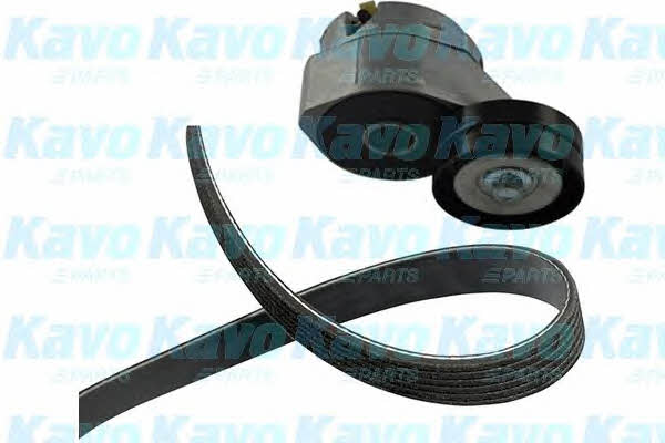 Buy Kavo parts DKM-2001 at a low price in United Arab Emirates!