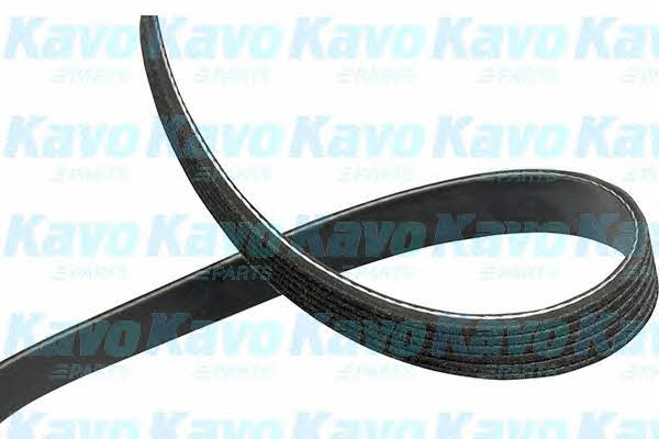 Buy Kavo parts DMV-1005 at a low price in United Arab Emirates!