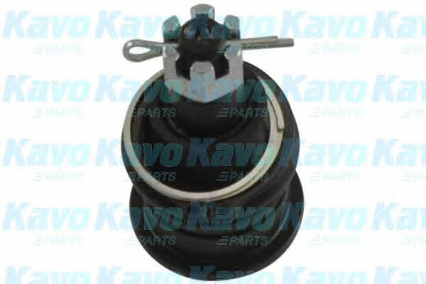 Buy Kavo parts SBJ-2003 at a low price in United Arab Emirates!
