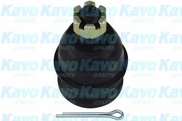 Buy Kavo parts SBJ-3007 at a low price in United Arab Emirates!