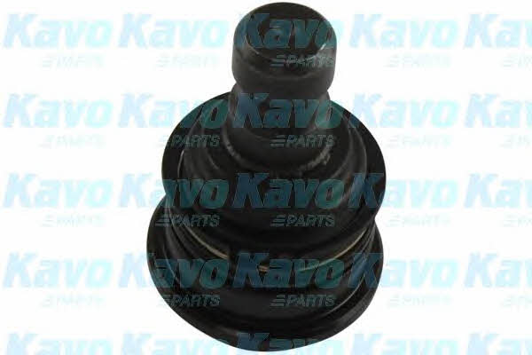 Buy Kavo parts SBJ-3017 at a low price in United Arab Emirates!