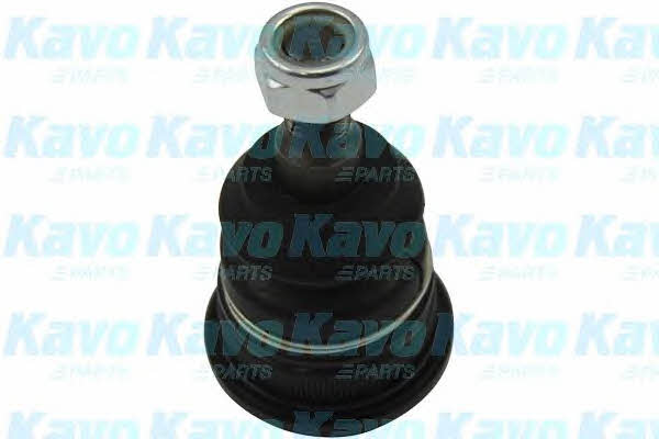 Buy Kavo parts SBJ-3035 at a low price in United Arab Emirates!