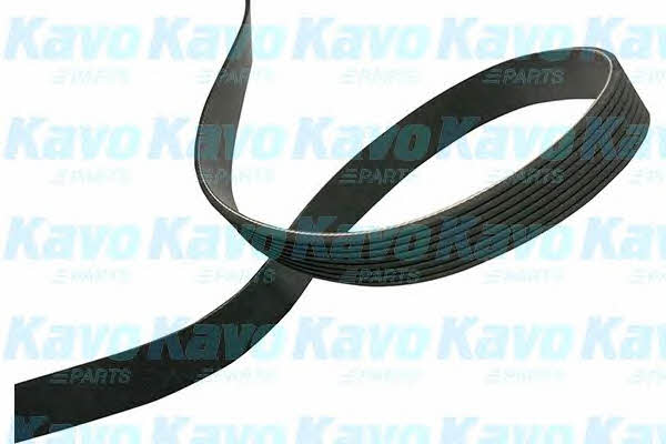 Buy Kavo parts DMV-4545 at a low price in United Arab Emirates!