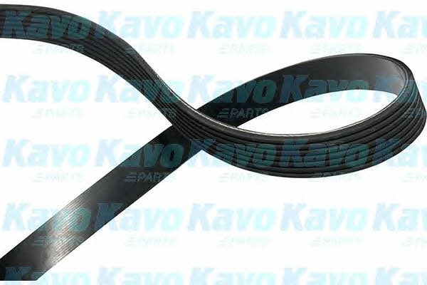 Buy Kavo parts DMV-6536 at a low price in United Arab Emirates!