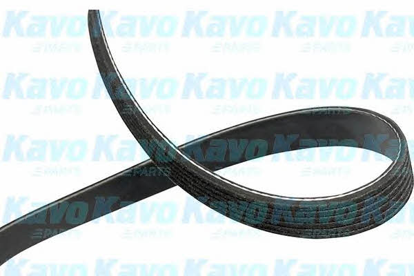 Aux belt Mazda MX-5: DMV9005 Kavo parts Poly-V belt 6PK2255