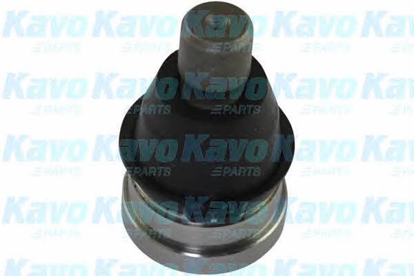Buy Kavo parts SBJ-4525 at a low price in United Arab Emirates!