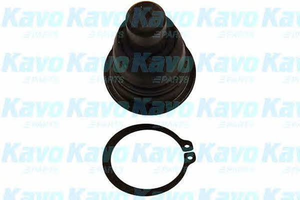Buy Kavo parts SBJ-6537 at a low price in United Arab Emirates!
