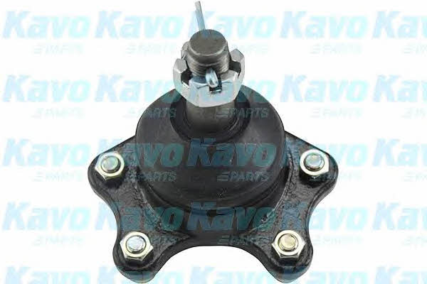 Buy Kavo parts SBJ-9016 at a low price in United Arab Emirates!