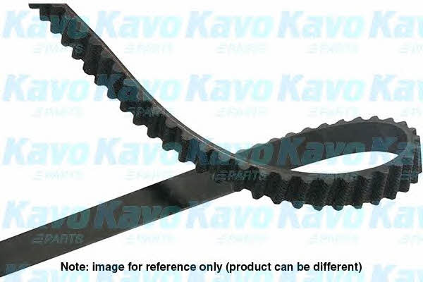 Kavo parts DTB-3010 Timing belt DTB3010 DTB3010 Kavo parts Timing belt