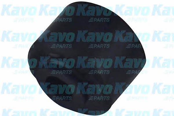 Buy Kavo parts SBS-9006 at a low price in United Arab Emirates!