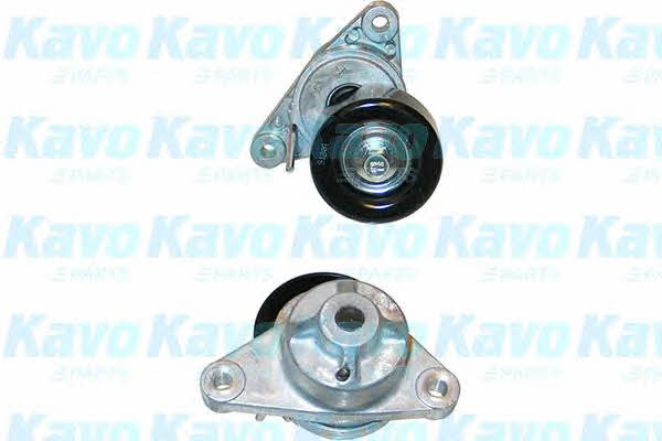 Buy Kavo parts DTP-1002 at a low price in United Arab Emirates!