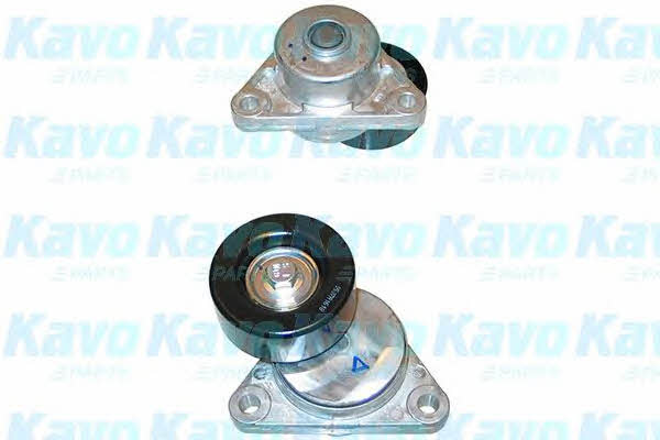 Buy Kavo parts DTP-1004 at a low price in United Arab Emirates!