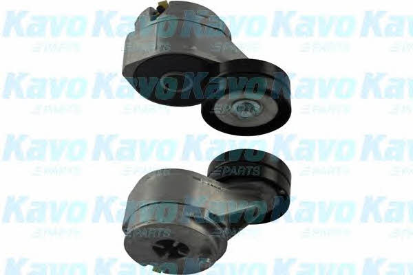 Buy Kavo parts DTP-2005 at a low price in United Arab Emirates!