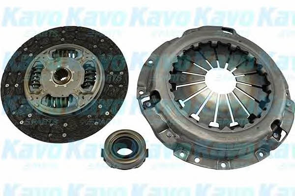 Buy Kavo parts CP-1146 at a low price in United Arab Emirates!