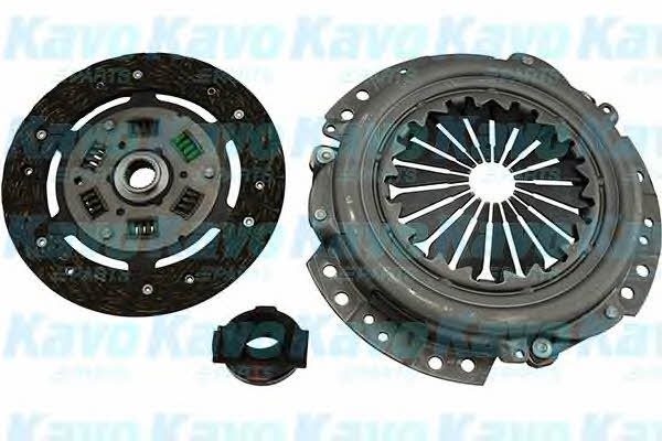Buy Kavo parts CP-4029 at a low price in United Arab Emirates!
