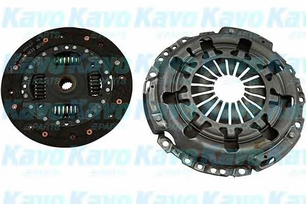Buy Kavo parts CP-5035 at a low price in United Arab Emirates!