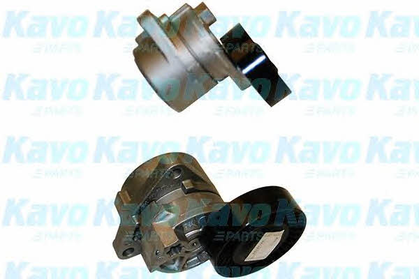 Buy Kavo parts DTP-3009 at a low price in United Arab Emirates!