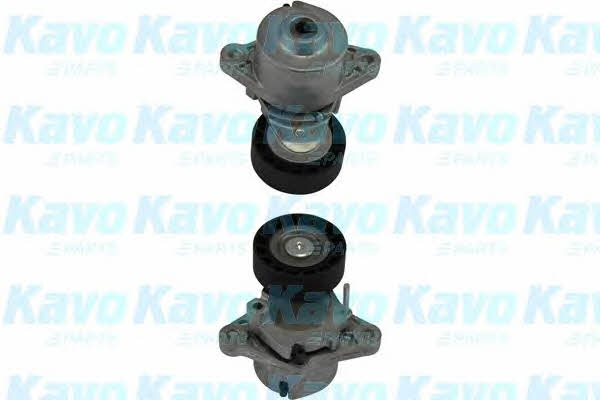Buy Kavo parts DTP-3017 at a low price in United Arab Emirates!