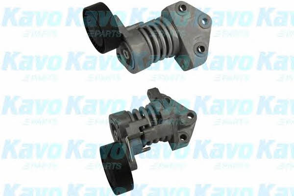 Buy Kavo parts DTP-5502 at a low price in United Arab Emirates!