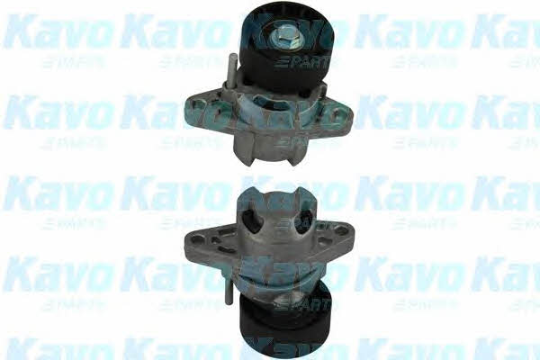 Buy Kavo parts DTP-6504 at a low price in United Arab Emirates!