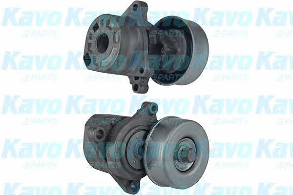 Buy Kavo parts DTP-6507 at a low price in United Arab Emirates!