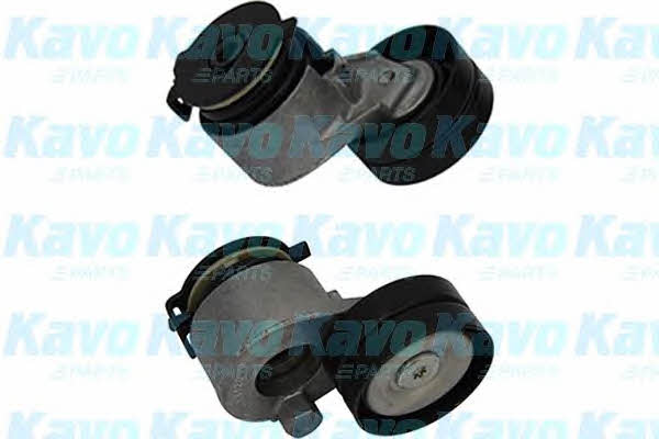 Buy Kavo parts DTP-6508 at a low price in United Arab Emirates!