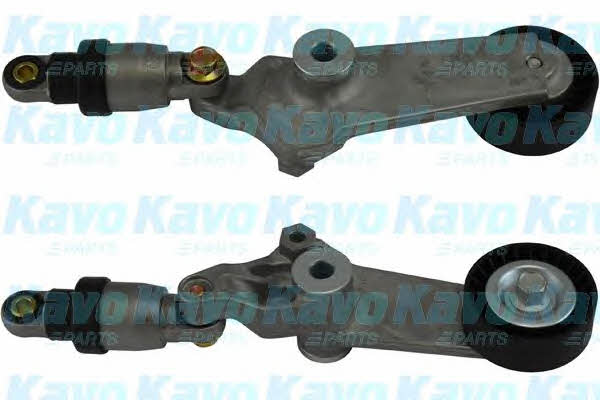 Buy Kavo parts DTP-9001 at a low price in United Arab Emirates!