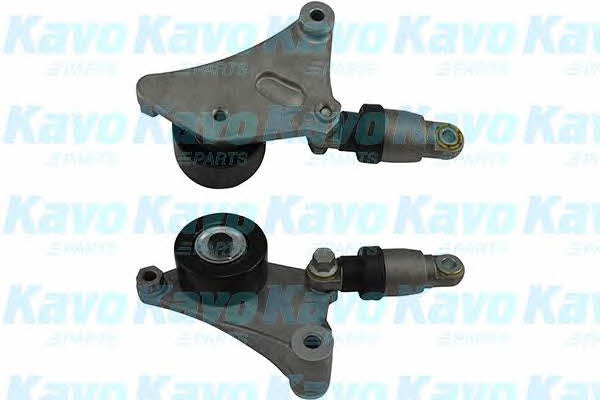 Buy Kavo parts DTP-9002 at a low price in United Arab Emirates!