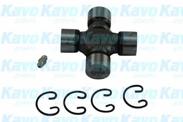 Buy Kavo parts DUJ-5506 at a low price in United Arab Emirates!