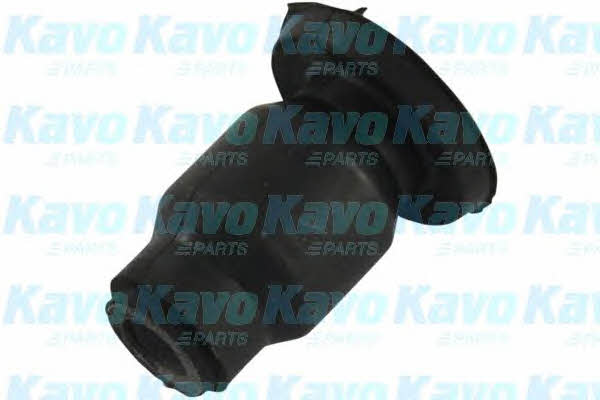 Buy Kavo parts SCR-4546 at a low price in United Arab Emirates!