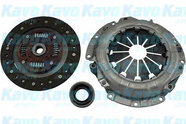 Buy Kavo parts CP-6057 at a low price in United Arab Emirates!