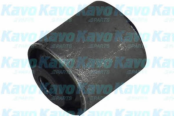 Buy Kavo parts SCR-2002 at a low price in United Arab Emirates!