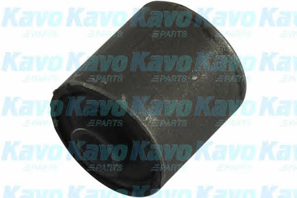 Buy Kavo parts SCR-2005 at a low price in United Arab Emirates!