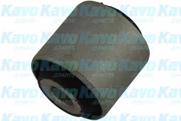 Buy Kavo parts SCR-3029 at a low price in United Arab Emirates!