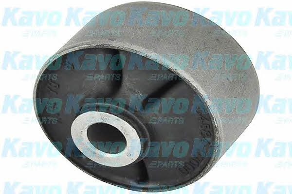 Buy Kavo parts SCR-3038 at a low price in United Arab Emirates!