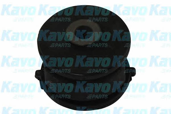 Buy Kavo parts SCR-3080 at a low price in United Arab Emirates!