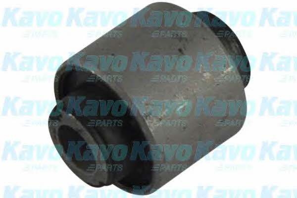 Buy Kavo parts SCR-4029 at a low price in United Arab Emirates!