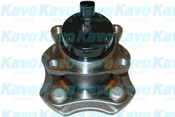 Buy Kavo parts WBH-9012 at a low price in United Arab Emirates!