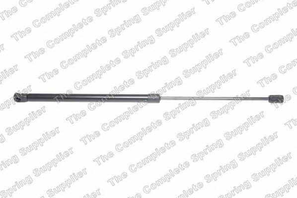 412053 Kilen Tailgate strut