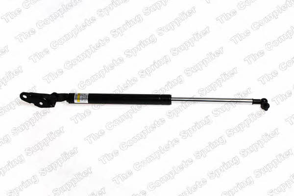 464063 Kilen Tailgate strut