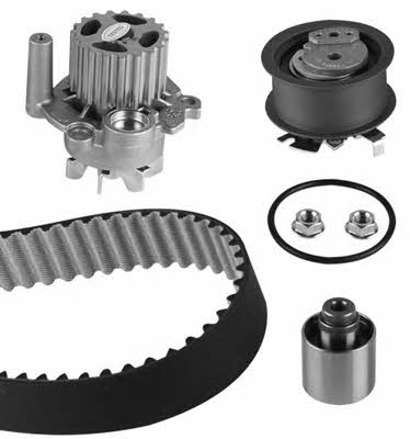 Kwp KW879-1 TIMING BELT KIT WITH WATER PUMP KW8791