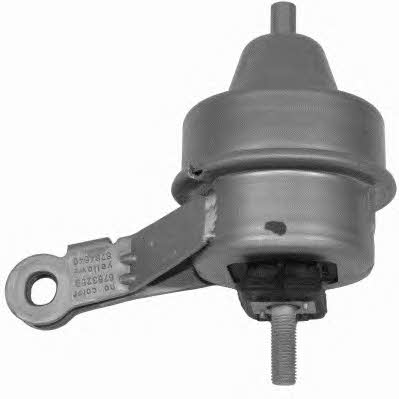engine-mounting-right-29901-01-7225562