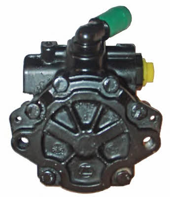 Lizarte 04.11.0247 Hydraulic Pump, steering system 04110247
