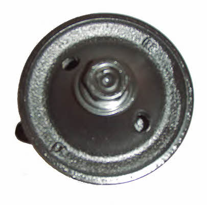 Lizarte 04.18.0210 Hydraulic Pump, steering system 04180210