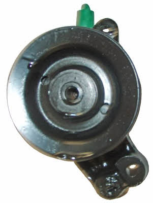 Lizarte 04.33.0200 Hydraulic Pump, steering system 04330200