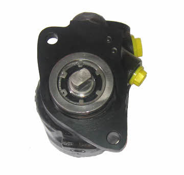Lizarte 04.45.0110 Hydraulic Pump, steering system 04450110